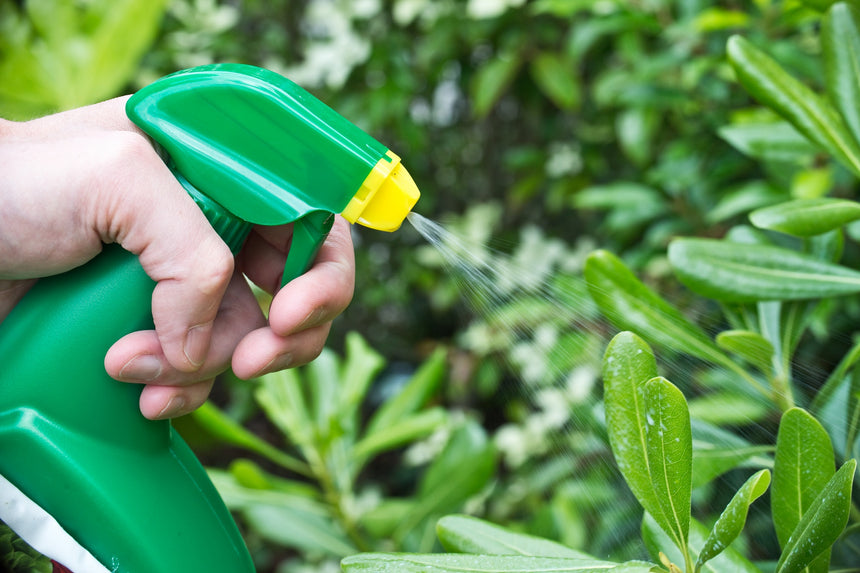 Monsanto's Glyphosate (Roundup) On Trial