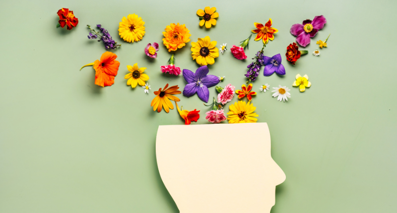 Effect of Environmental Toxins on The Brain and Mental Wellness