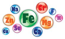 Minor Nutrient Deficiencies - Do They Accelerate Aging