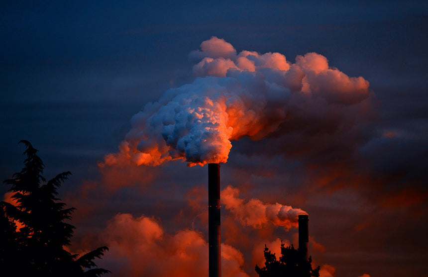 Avoiding Toxins vs. IonCleanse® Detoxification