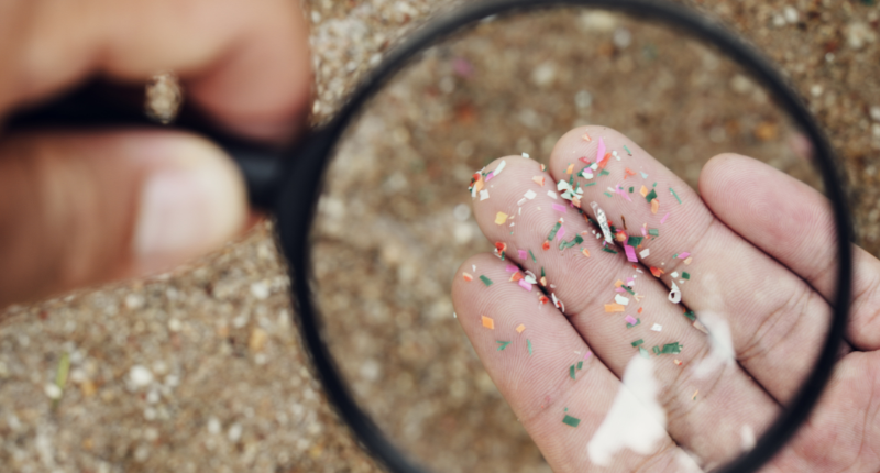 Microplastics in Our Brains and Everywhere Else: A Growing Concern for Health and the Environment.