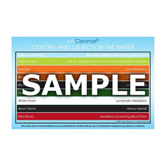 IonCleanse® Color Charts (5)